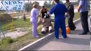 Взбесившийся стаффорд загрыз трех человек