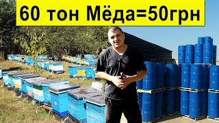 60 тон Мёда ? за 50 грн/кг, состояние медового рынка ✅  Sale of honey in Ukraine for beekeepers