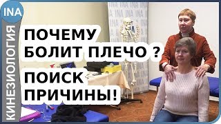 Боль в плечевом суставе. Поиск причины. Проф. Васильева. Прикладная кинезиология