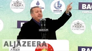 Erdogan lashes out at Netherlands for barring minister