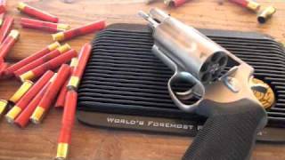 The Taurus Judge