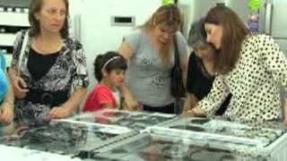 147. MIG TVR VANADZOR, LORI / МИГ ТВР ВАНАДЗОР, Лори / "BEKO" ՆՈՐ ԽԱՆՈՒԹ ՍՐԱՀ ՎԱՆԱՁՈՐՈՒՄ ... ՄԻԳ ՀՌԸ