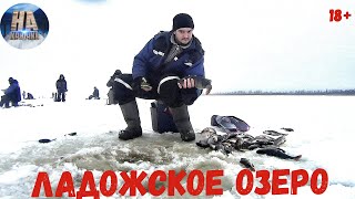 ? ЗИМНЯЯ РЫБАЛКА!  ОКУНЬ ДОЛБИТ! Большой улов на Ладоге? Рыбачим в 2019