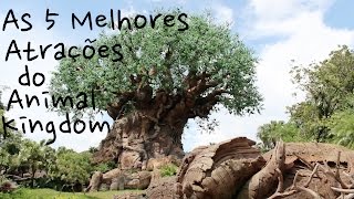 As 5 Melhores Atrações do Animal Kingdom