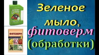 ОБРАБОТКА орхидеи:ФИТОВЕРМ и ЗЕЛЕНОЕ МЫЛО от клеща,мучнистого червеца,трипса,тли и др.
