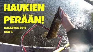 Haukien perään! | Kalastus 2017 osa. 4