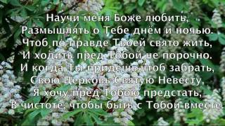 Научи меня Боже любить. Елена Ваймер