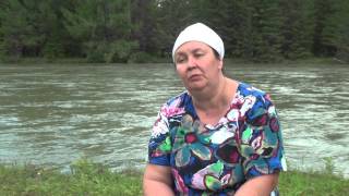 ЗЕМЛЯНИЧНЫЙ ЧАЙ || Полезные свойства листьев земляники