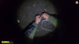 #Ловлясоманадонку / Наживка-выползок / Где собираю? Когда собирать? Как храню?