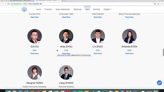 Usechain ico drops