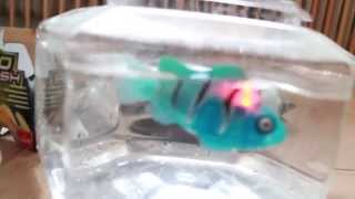 Robo Fish LED Blue Beacon Goliath