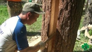 Возведение колоды