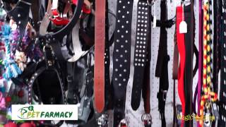 Pet Farmacy | Pet Shop Αιγάλεω,Τροφές,Αξεσουάρ,γάτες,σκυλιά,τρωκτικά,πτηνά,ψάρια,φάρμακα