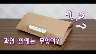 [대충하는 피규어 리뷰] 충동적으로 구매한 5만원 랜덤 피규어!!!
