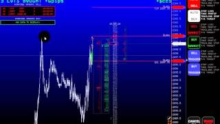 2. Intraday S&P500 Volumen Trade . +$600. Volumen Trading, Orderbuch , Level 2