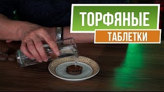 Почему рассада в торфяных таблетках ЛУЧШЕ ✔️ Таблетки для рассады