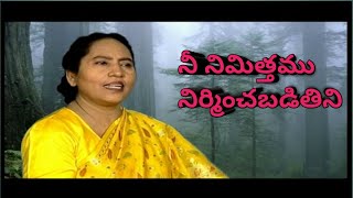 నీ నిమిత్తము నిర్మించబడితిమి