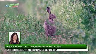 Taglio del Parco della Lessinia, nessun ritiro della legge. Cristina Guarda: "Cittadini raggirati"
