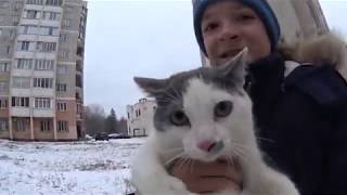 Реакция кота на снег / Как поймать кота на улице? feat Bfart Mikos [RL]
