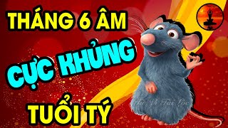 Tuổi tý tháng 6 âm lịch sự nghiệp phất lên như DIỀU GẶP GIÓ, may mắn hết phần thiên hạ