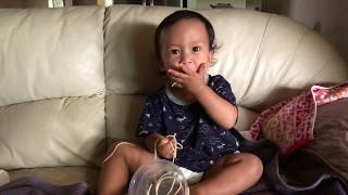Baby Shows You How to Enjoy Noodles everydaytaichi lucy Honolulu Hwaii