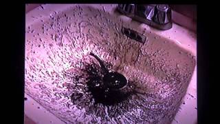 ROTO ROOTER  ATTACKS