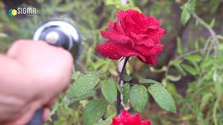 Поливочный восьмирежимный пистолет - распылитель Flora 5011314