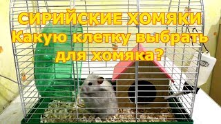 Сирийские хомяки часть 3 - Какую клетку выбрать для хомяка | Уход и содержание