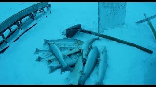 Рыбалка на Чукотке  Подлёдные сети 2
