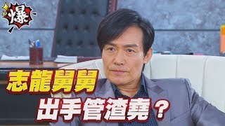 《多情大爆爆》多情城市 EP173 志龍舅舅 出手管渣堯？