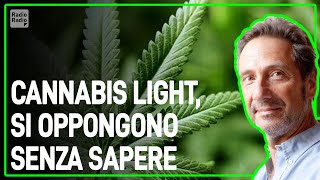 SI OPPONGONO ALLA CANNABIS LIGHT IGNORANDO COSA SIA VERAMENTE - Mario Tozzi