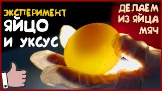 ЯЙЦО и УКСУС.  Как превратить яйцо в резиновый мяч