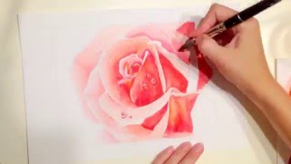 How to draw rose, aquarelle (как рисовать розу акварелью) / speed drawing