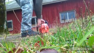 Husqvarna 238 test