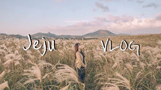 [Vlog] 나홀로 제주여행(게하파티, 오름투어, 독립서점, 갬성카페, 소품샵)