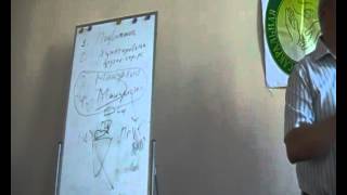 Структуральная остеопатия. Мануальная диагностика. Шарапов К.В.