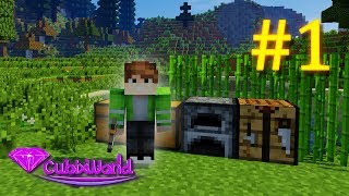 НАЧАЛО ВЫЖИВАНИЯ НА СЕРВЕРЕ С МОДАМИ CUBIXWORLD #1 САМОЕ НАЧАЛО (MINECRAFT SERVER)