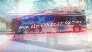 Grupo Pegasso "Llevame en tu Mente" (PULGA DEL ALAMO)