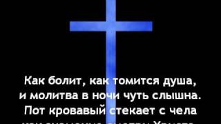 Тишина... Никого рядом нет