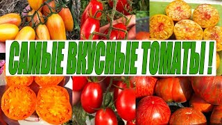 САМЫЕ ВКУСНЫЕ И СЛАДКИЕ ТОМАТЫ КОТОРЫЕ Я САЖАЛА!!!