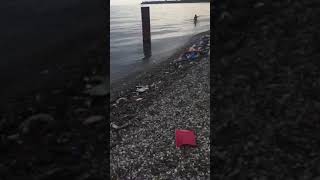 Абхазия, пицунда, лдзаа 04.07.19