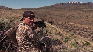 Coyote Hunting - HEADSHOTS - Coyote Assassins Episode 34
