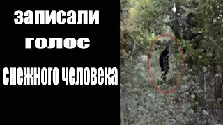 Голос Снежного человека