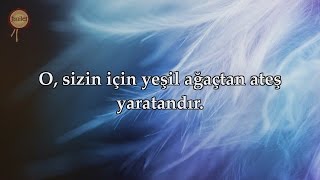 Yasin Suresi - Ebubekir Şatıri (Kıraat 3)