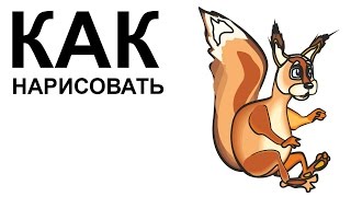 Белка картинки. КАК НАРИСОВАТЬ БЕЛКУ карандашом
