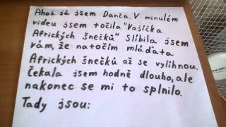 Danča?- Mláďata Afrického šneka (Achatina oblovka) ?