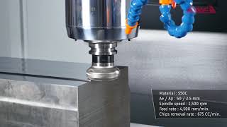 AWEA AF-1000  High removal rate 675 CC/min.