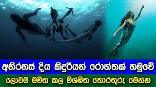 අභිරහස් දිය කිදුරියන් රොත්තක් හමුවේ ලොවම මවිත කල තොරතුරු මෙන්න - what is the mystery of Mermaids ?