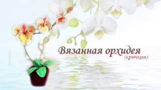 Орхидея крючком. Вязанные цветы