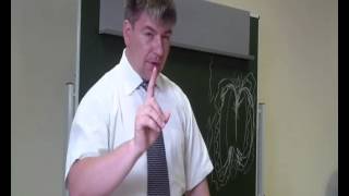 Вопрос - ответ про ДЭИР. Понятия кармы и греха.
